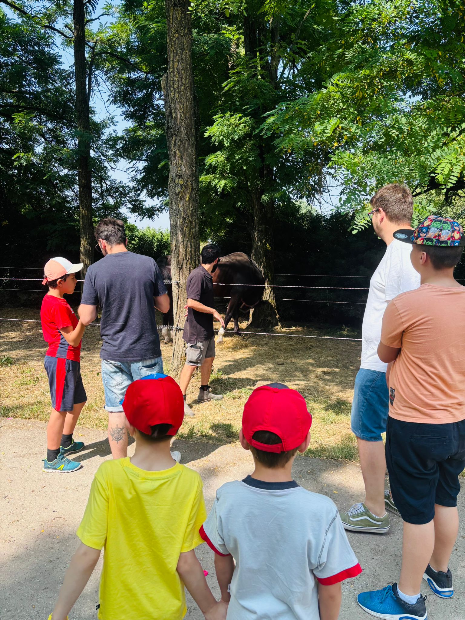 Con Luoghi Magici siamo a Cavallo con bambini e ragazzi 