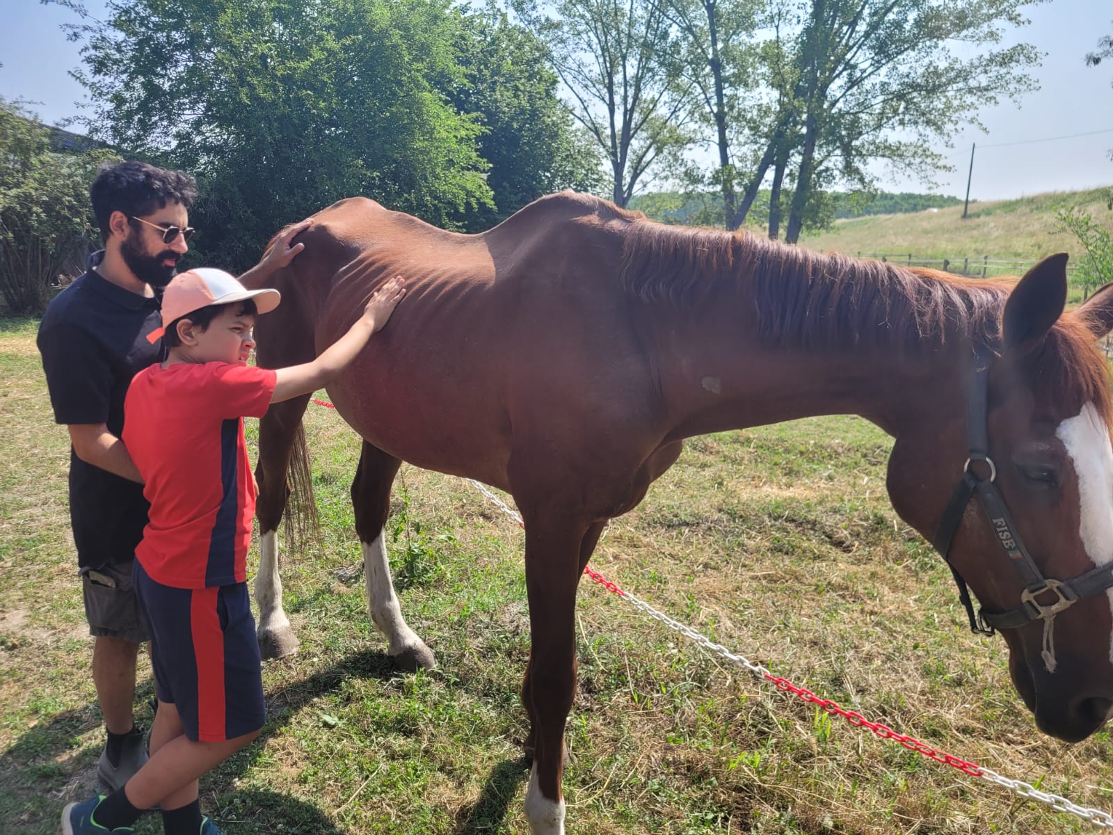 Incontri col cavallo